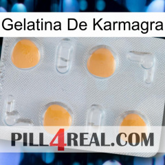 Karmagra Jelly 24